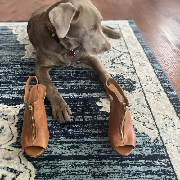 Jessica Simpson Shoes - Jessica Simpson, size 6 brown zipper wedges. Puppy not for sale.